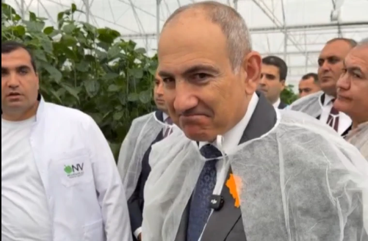 vor-asein-7-metranvoc-bibar-kkhndayinq-lav-dzerq-arnelvou-arith-kdarnar-phashinyany-pghpeghi-jermatany